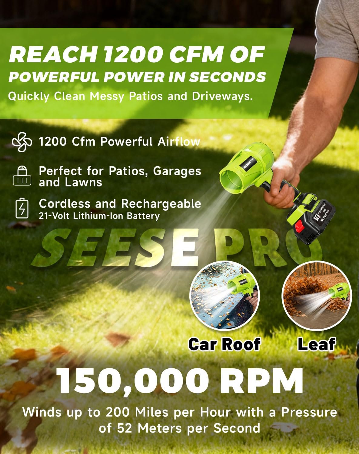 Seese Pro Blower 1