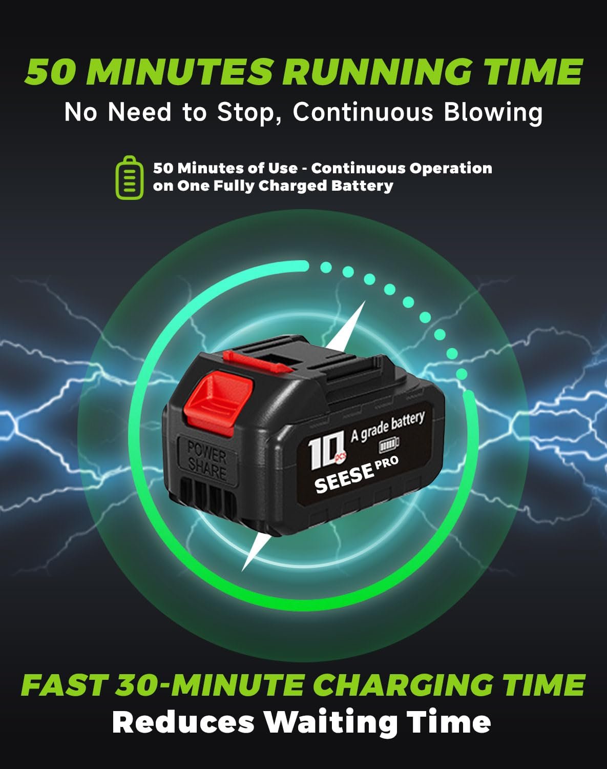 Seese Pro Blower 3